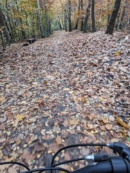 b4513ac4-f5f5-4e9e-99bd-ff767240f285