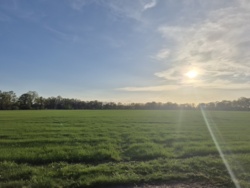 917ff431-bc94-4919-a58e-f801fd9eb7b1