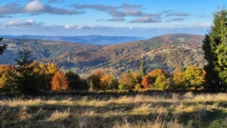 a603f50b-c704-4c10-abee-d5bb08413e0c