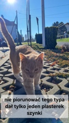 2308df83-7123-47ae-8639-06dcf7b6b48b