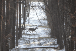 a8479574-d8ea-404c-9b65-0c92f9cd3705