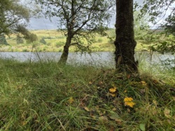 d078f048-1d64-488e-aeab-628877ed7b2a