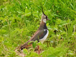 93431bca-7a0e-4dfd-b88b-d8c79765c4d5