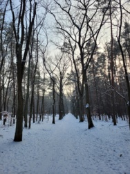 9ff1d10a-5164-4eea-9b48-3721dd86293c