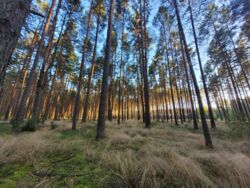 3fc82ef3-7113-49a0-a414-4e6df3ceccd7