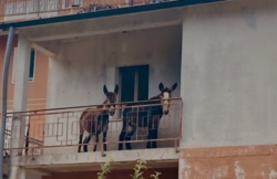 9562d175-ae4b-45b4-b510-b941f9c6339a