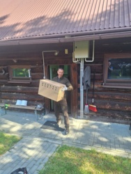 Głuszec - gatunek na krawędzi. Nadleśnictwo Nawojowa walczy o jego powrót