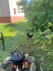 4eff8607-a86d-49d1-be09-5c8ee3273221