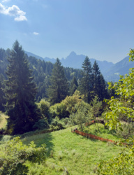 c49e7170-e5f0-4c86-a9ca-f633fe263997