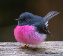 e798a898-43da-4861-b287-532ae188de9f