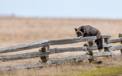 57d17894-262f-4c9e-90e5-cf1d2e62ad8d