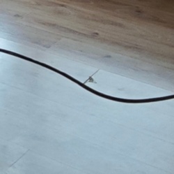 ae4e0010-12ba-4686-813a-7f015f24c611