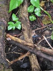 5a207c37-58bc-469b-8f27-1f64789d57e2