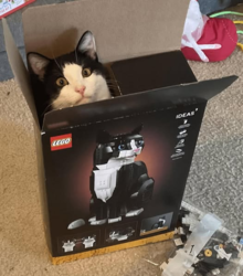 87635ebc-473b-47c0-b884-75acdce52064