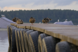 07d5298a-2fdb-441e-9914-cc254401ffc2