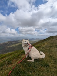 bf9937fc-794f-477f-bda0-84500f056c23