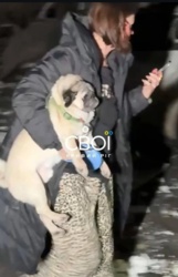 706d462d-cc44-45ca-a02a-383ba3b9dc7c