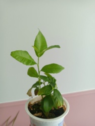 7ef25566-5871-4325-9577-36f3ab48e305