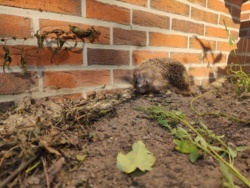 dcd40713-a51b-4131-91b7-885c75f7b3d8