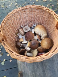 d129aebe-4d3c-4bec-ba3e-f3e19cb720b3