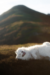 a1bcd0e1-723e-40a9-9a22-7b9f8d3fbacb