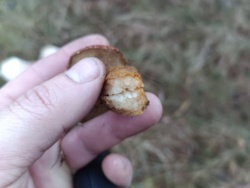 b0eaeffe-92ff-4427-9aab-2d1db339ea13