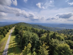 59c202e2-359a-423a-889c-27032ea1736f