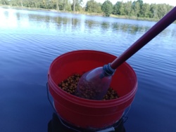 78c1af06-084d-4a89-bd6b-16a073b969f8