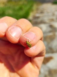 e2d116ef-5f4b-4e6e-b1ed-86c2dc277f61