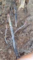 38b89402-9542-499f-a08d-fa4e78bd809b