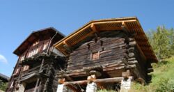 Kryzysy i sukcesy Europy w drewnie zapisane