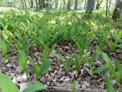 eb28ace8-f9c4-4c6a-98dc-62c81ba4e02a