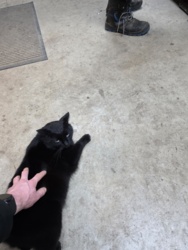 22a1e2a9-19bc-448c-a90d-133772fec120