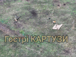 5ff95607-dd7b-46e0-b3f3-f07ebf014e8f