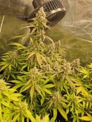 a068e5b2-60fa-4f83-9486-27c6b3ba3d68