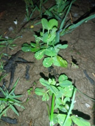 60f31d1d-6e62-4c23-af68-0782a9c397d0