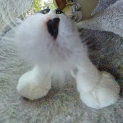 2d4626e5-9948-4c29-93db-e2241032536e