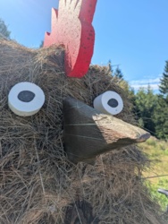 8fa7784e-177b-4910-8b70-c06936cf954a