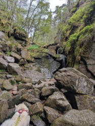 f31c5bb0-fcea-4f8c-82f3-2f2e206c3a6b