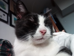 82c9f072-e555-4e24-a016-752f2a33a99a