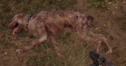 353dc5f0-7a44-4d07-a50f-a66914127dd8