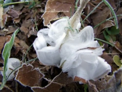 22a86854-60ce-44ec-be08-bc4258e61265