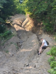 bd3a1bf5-10fd-4600-b00c-ae78826e8f98