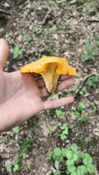 c8798a69-f7af-4cd0-9563-15aeccb5c00e