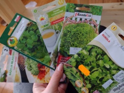 0a09d08f-89d4-4aa9-9e9d-c61c08ead199