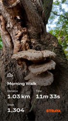 85d7510d-acb3-4880-b383-f7e5d0702f2c