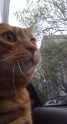 e2399784-e5fb-420d-8f6c-d5a8fdb77501