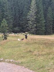 0b162ff7-b274-4079-9c5d-02f44f102e65