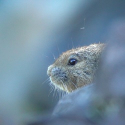 a29ad9f5-ff92-4022-a799-56d6f46cbf47