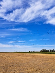 7684ff91-8c09-43db-a1d3-6cc6f251f646